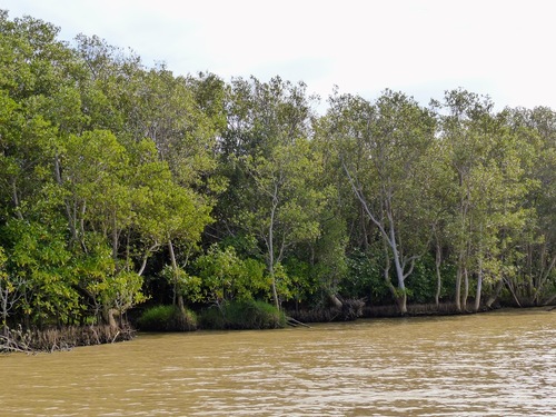 Ste Lucia estuary game reserve