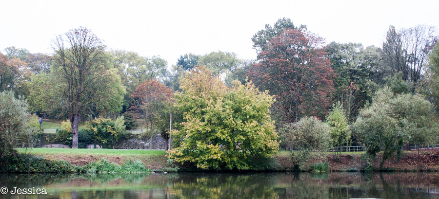 Analyse d'images plan d'eau de Metz