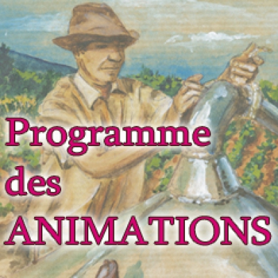 Programme des animations