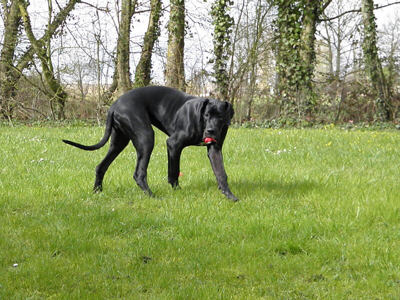 Jyane dans le Maine-et-Loire, le 28 mars 2015