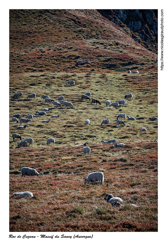 Roc de Cuzeau, massif des Monts Dore