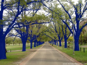 arbres-bleus.jpg