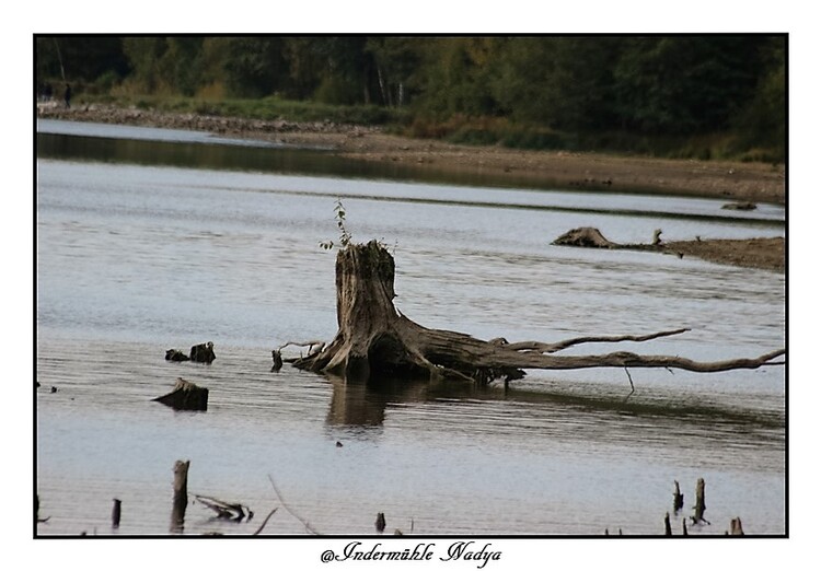 Ma balade au Lac de Bairon