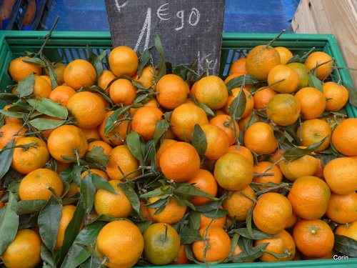 Fruits : mandarines