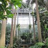 Salle tropicale  - Botanic Garden des US - WDC