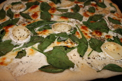 PIZZA CHEVRE & EPINARD