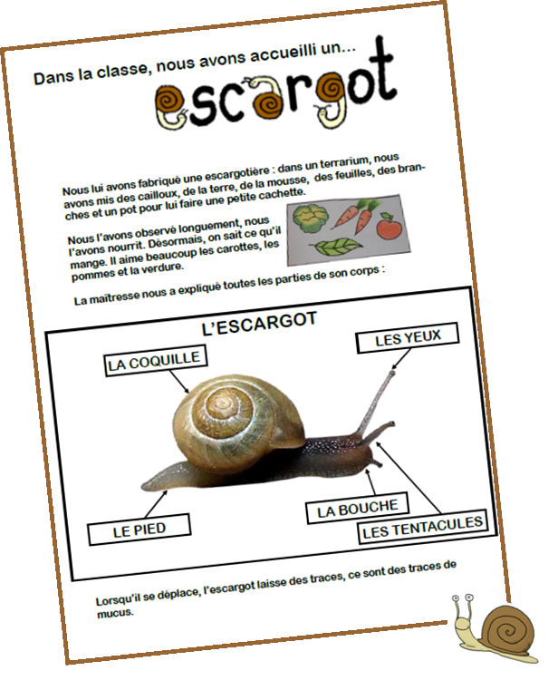 Escargot Validées