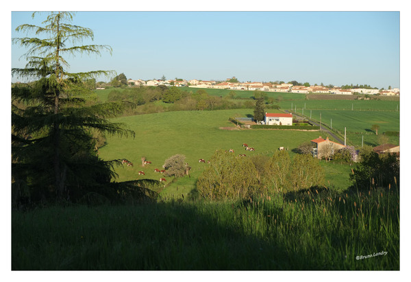 Nature & Campagne