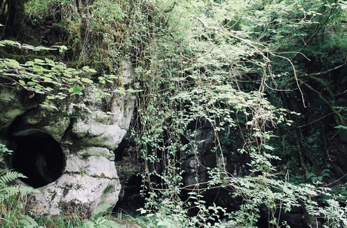 Grottes et forêt d’Irlande du Nord