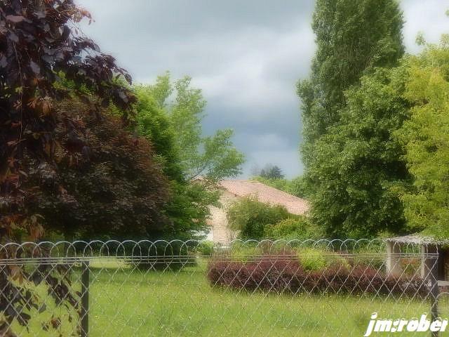 Progression : Une nouvelle vie commence avec ses deux petites balades de santé dans ma commune Condat/vienne (2)