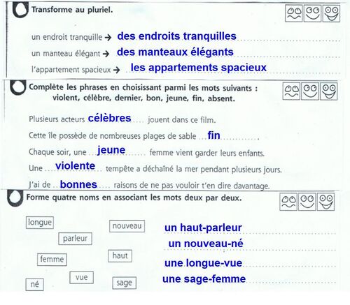 Orthographe: les accords des adjectifs