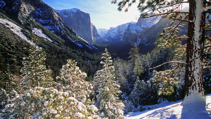Photos - Villes des USA: 10 photos sur Yosemite