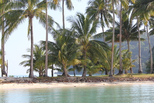 Ko Chang du 6 au 12 décembre 2013