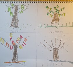 L'arbre des 4 saisons 