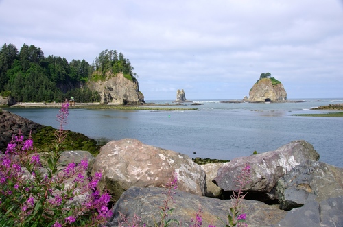 La Push, Hoh Rain Forest