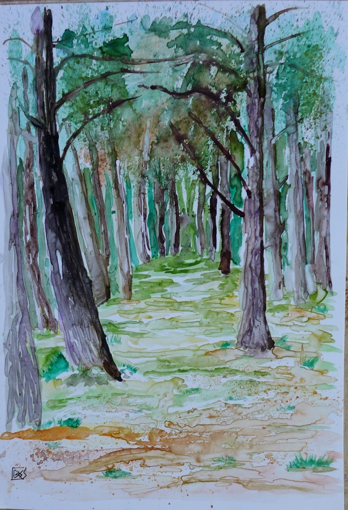 Un sous-bois à l'aquarelle, sur papier lanavanguard...