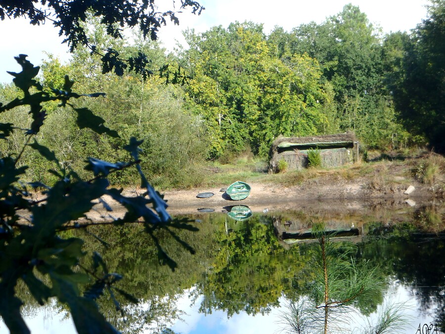 BALADE DANS LES BOIS A LA LIMITE DES LANDES