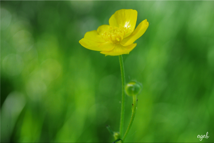 promenade photographique du 16 au 31 mai 2019