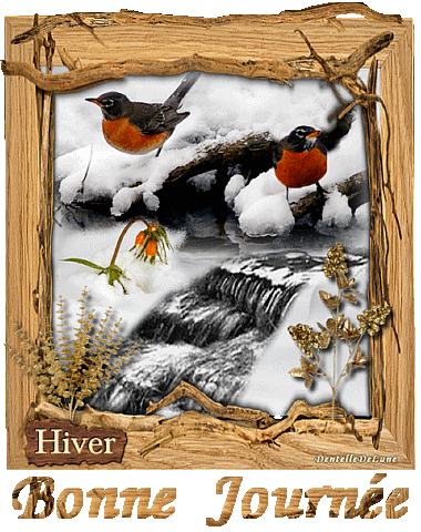 gif-animé-hiver-oiseaux-sous-la-neige-et-ruisseau + bonne journée gif animé  - les gifs animés de dentelledelune