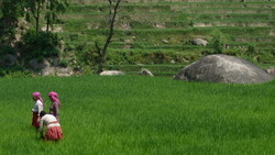 Le chitwan à dos d'éléphant...