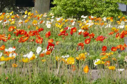 Le cartoscope du samedi 4 février 2023