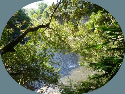 Bassin la Paix (2/3) -
