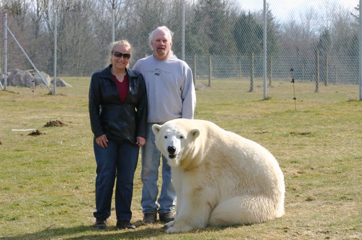 20/2/20 : Belles histoires d'animaux - 