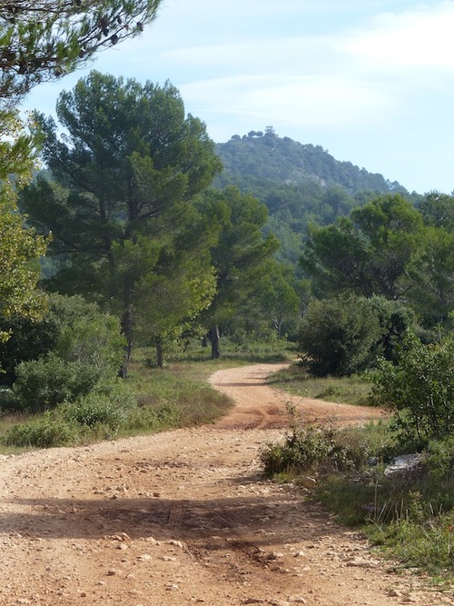 Plateau de la Sérignane