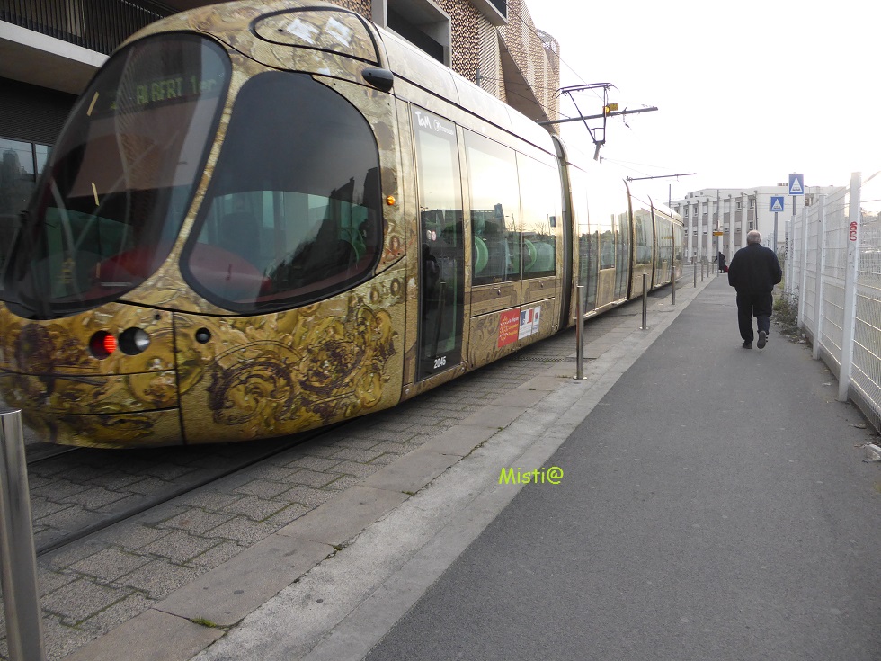   TRAM ..............