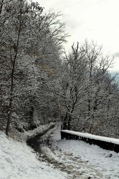 2016.01.17 Colline du Mûrier (commune de Gières, Isère)