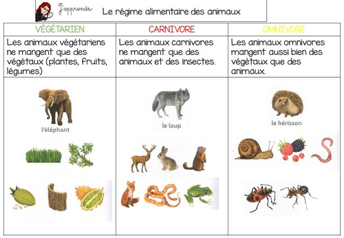 le régime alimentaire des animaux