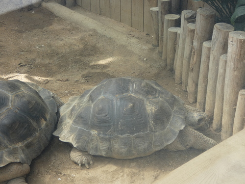 Zoo La Boissière Du Doré