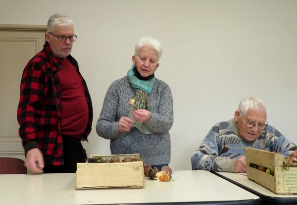 Les dernières espèces de  champignons récoltés en décembre 2022, par les membres de la Société Mycologique du Châtillonnais  ont été nombreux...