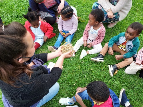 Visite des petits à la ferme du Bois du Château