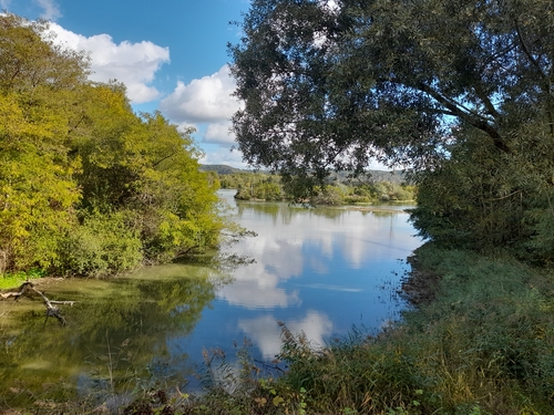 Tournedos sur Seine