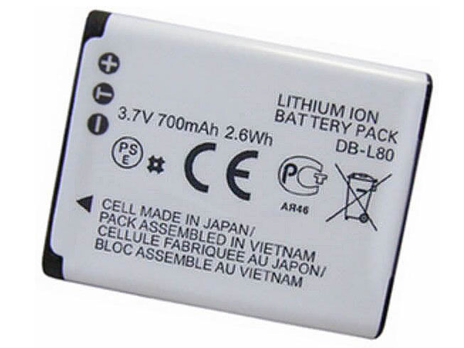 Batterij SANYO VPC-CG20