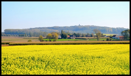 Chez moi et alentours ...