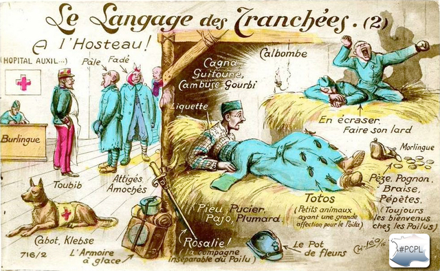 Le langage des tranchées