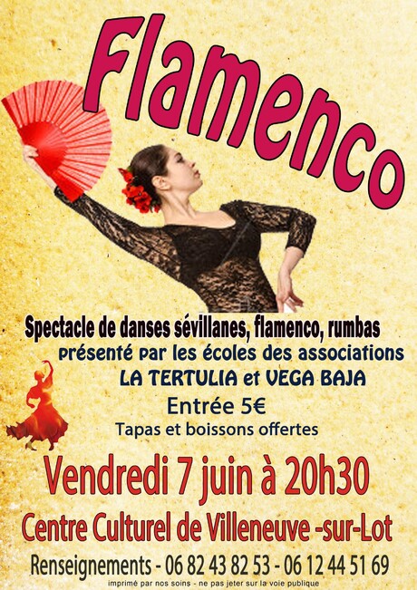 spectacle de fin d'année Flamenco 7 juin 2019