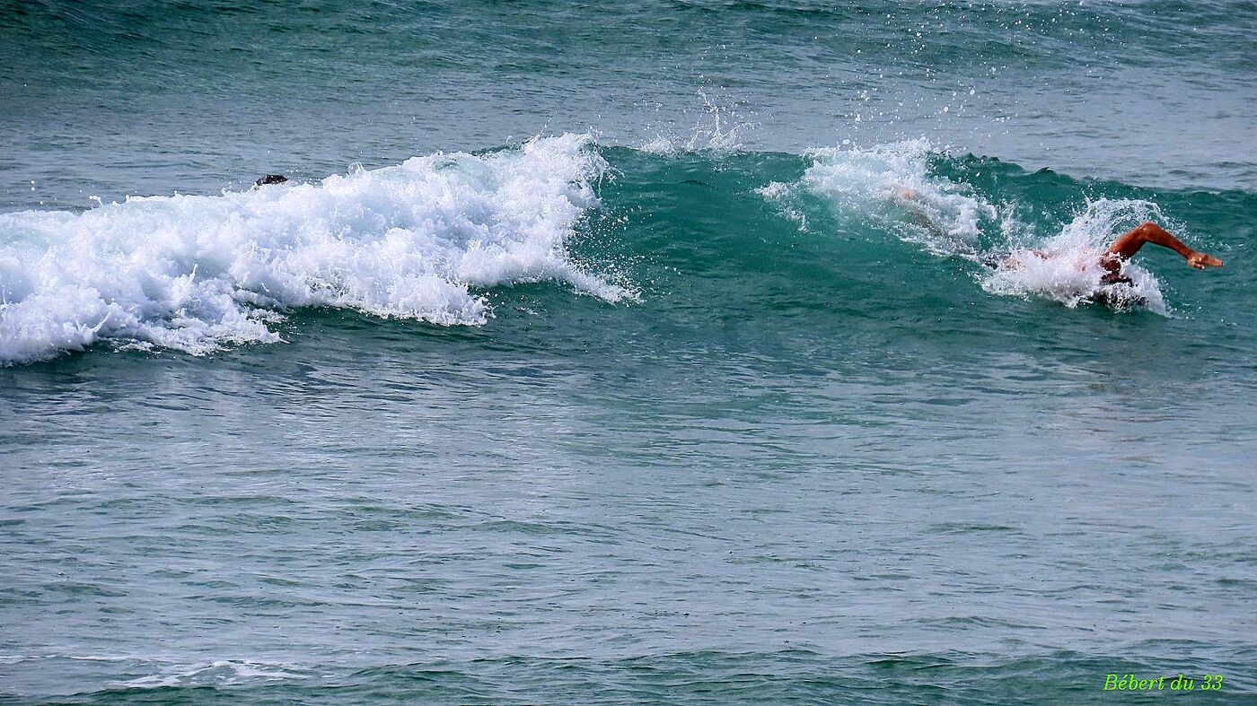 du surf  à Soorts Hossegor