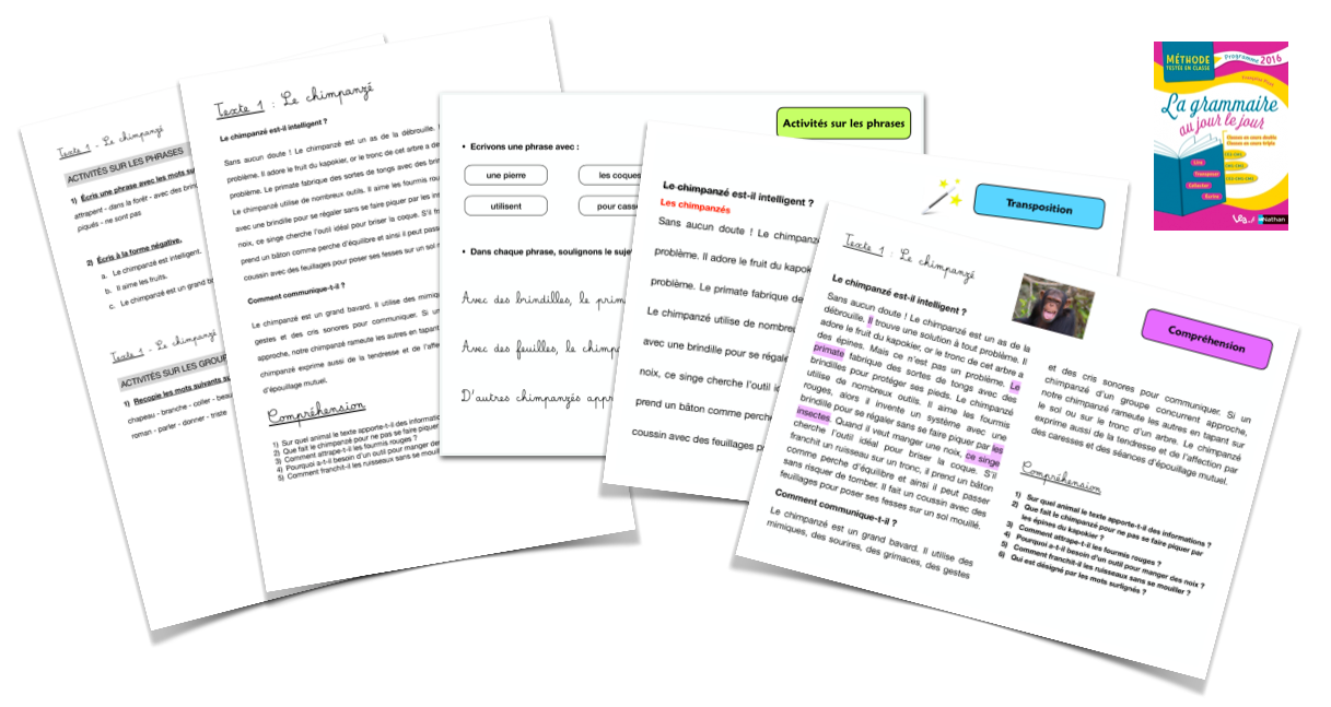 Cahier De Grammaire Methode Picot Page De Garde Organisation Mon année avec la méthode Picot en CM1 - Le journal d'une maîtresse