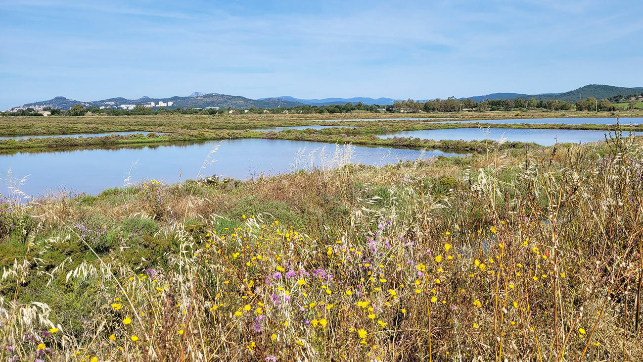 19/7 paysages des vieux salins de Hyères