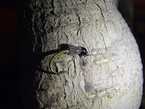 Le B-A-BA du montage de mouche