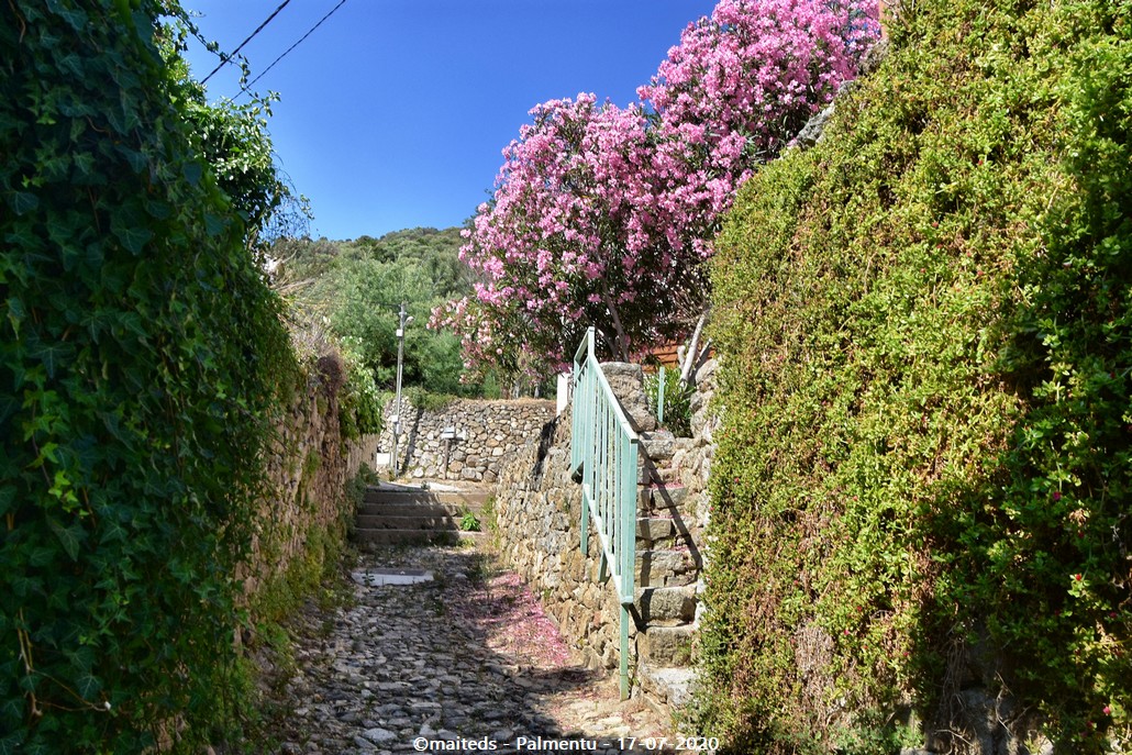 Palmentu - Santa-Reparata-di-Balagna  -  Corse