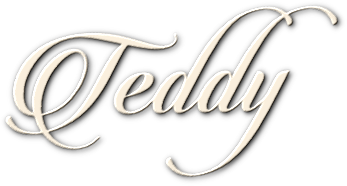 *** Teddy ***