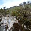Croix gravée, 5,85 mètres avant la borne frontière numéro 7 de Mia-méaca
