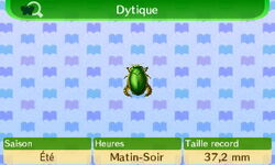 Les insectes