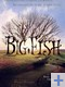 big fish affiche