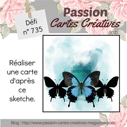 Passion Cartes Créatives#735 !