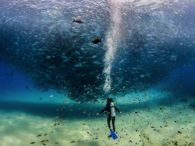 national geographic plus belle photos 2015 16 - 20 Photos Préférées du National Geographic sur Internet en 2015 national geographic plus belle photos 2015 16 - 20 Photos Préférées du National Geographic sur Internet en 2015